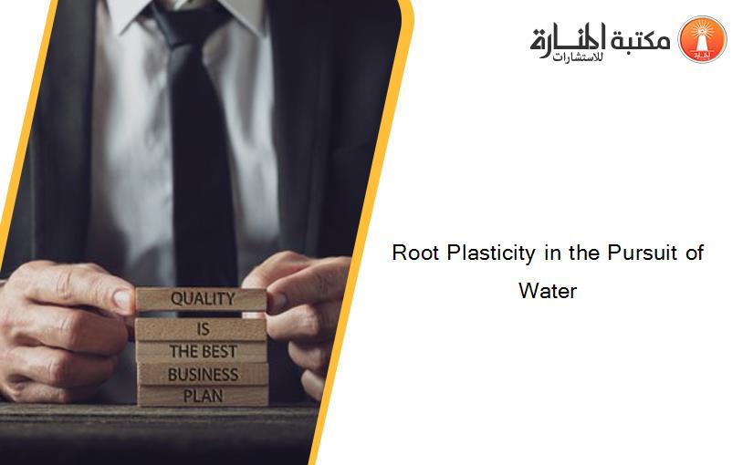 Root Plasticity in the Pursuit of Water