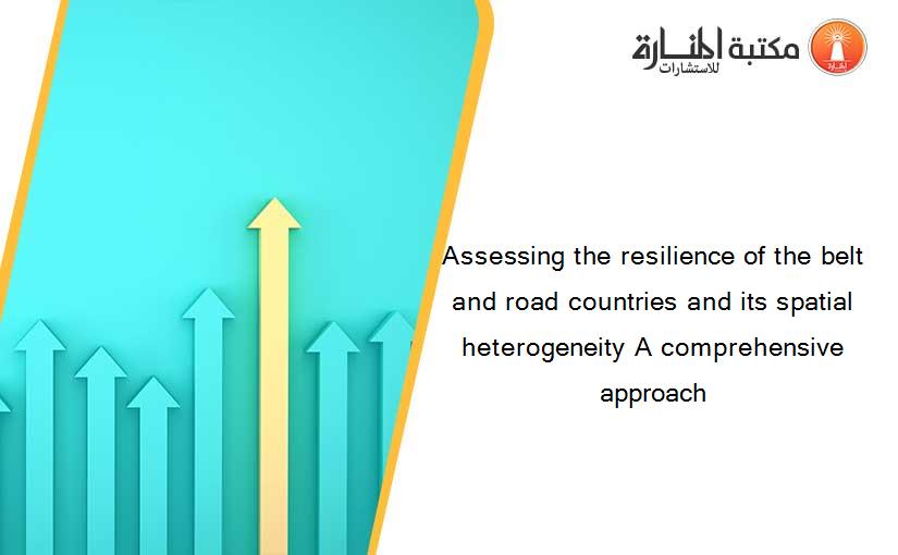 Assessing the resilience of the belt and road countries and its spatial heterogeneity A comprehensive approach