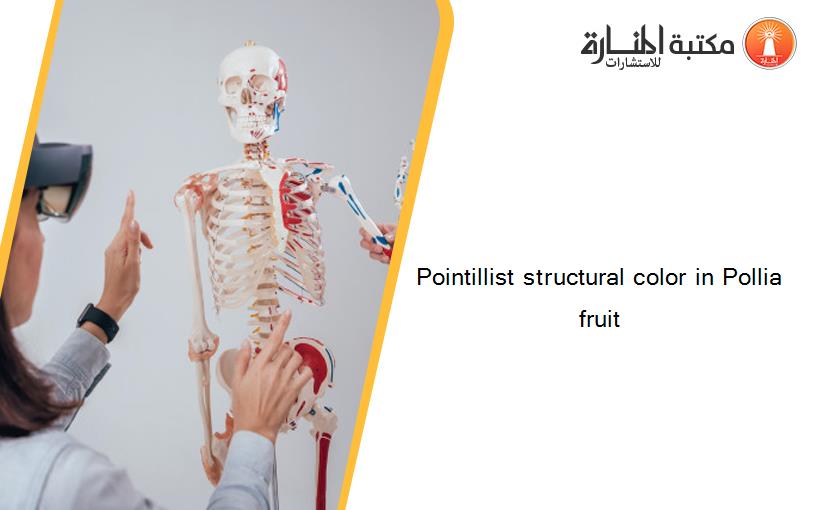 Pointillist structural color in Pollia fruit