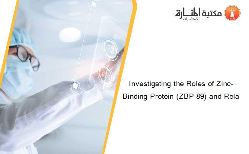 Investigating the Roles of Zinc-Binding Protein (ZBP-89) and Rela