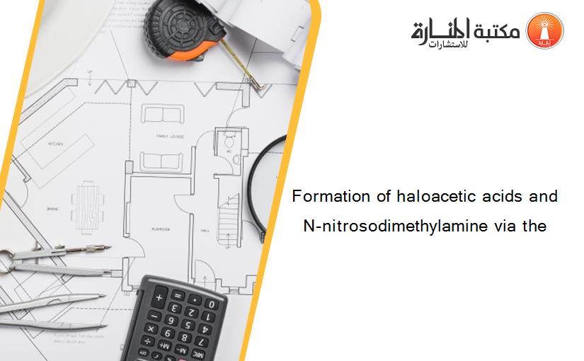 Formation of haloacetic acids and N-nitrosodimethylamine via the