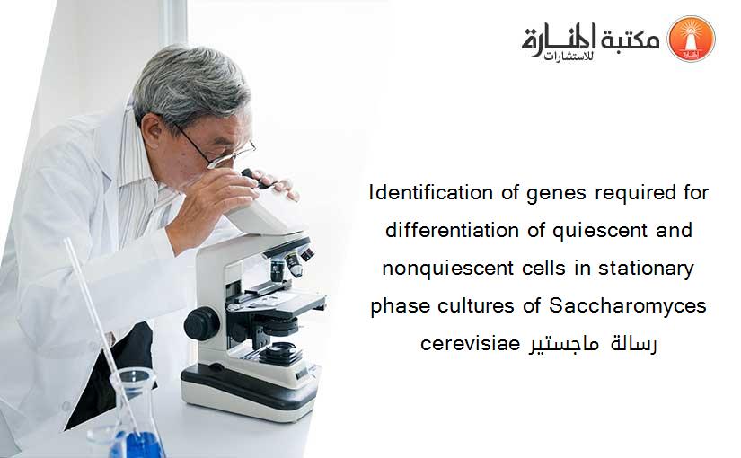 Identification of genes required for differentiation of quiescent and nonquiescent cells in stationary phase cultures of Saccharomyces cerevisiae رسالة ماجستير
