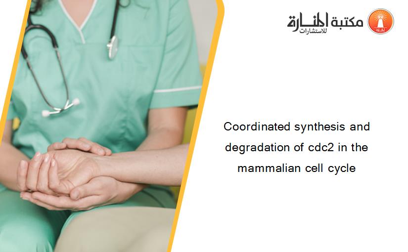 Coordinated synthesis and degradation of cdc2 in the mammalian cell cycle