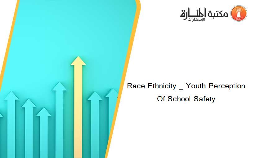 Race Ethnicity _ Youth Perception Of School Safety
