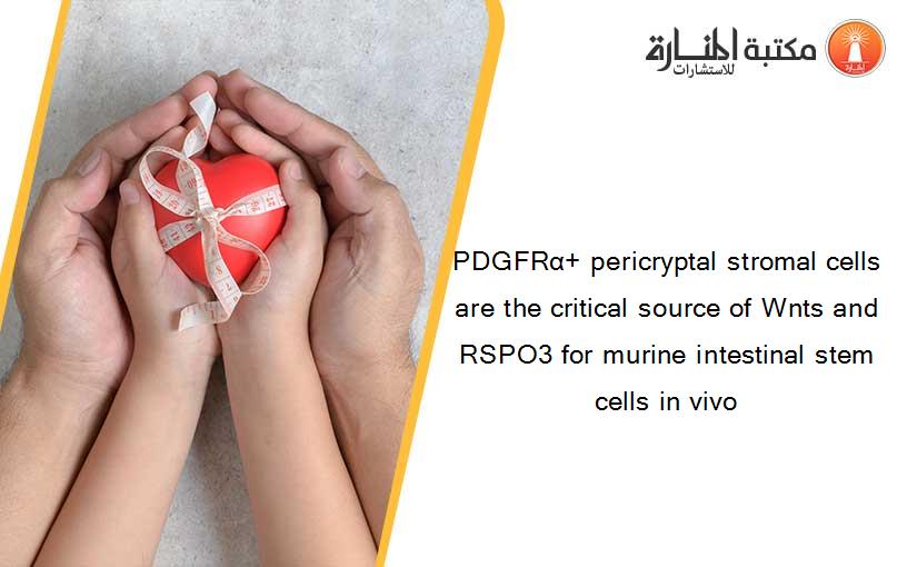 PDGFRα+ pericryptal stromal cells are the critical source of Wnts and RSPO3 for murine intestinal stem cells in vivo