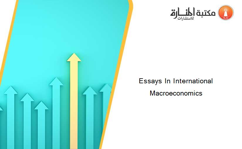 Essays In International Macroeconomics