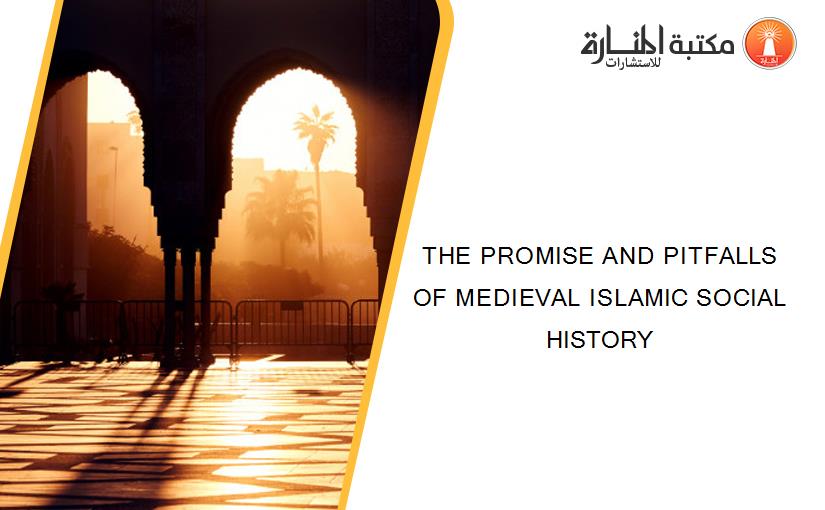 THE PROMISE AND PITFALLS OF MEDIEVAL ISLAMIC SOCIAL HISTORY