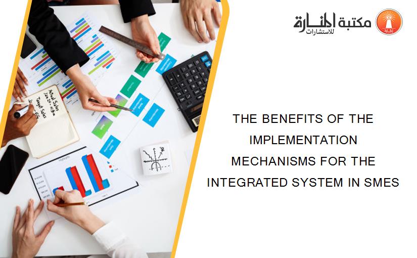 THE BENEFITS OF THE IMPLEMENTATION MECHANISMS FOR THE INTEGRATED SYSTEM IN SMES
