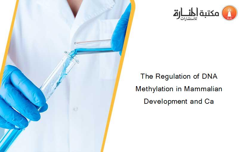 The Regulation of DNA Methylation in Mammalian Development and Ca