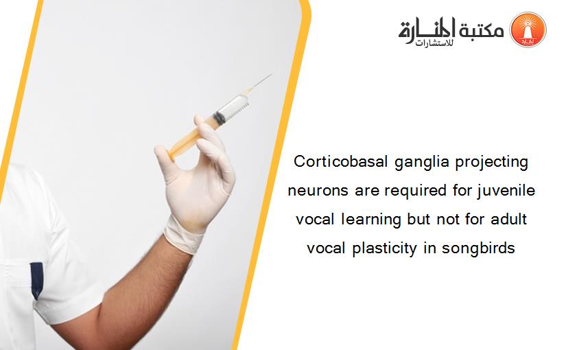 Corticobasal ganglia projecting neurons are required for juvenile vocal learning but not for adult vocal plasticity in songbirds