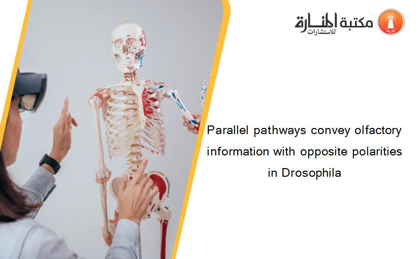 Parallel pathways convey olfactory information with opposite polarities in Drosophila