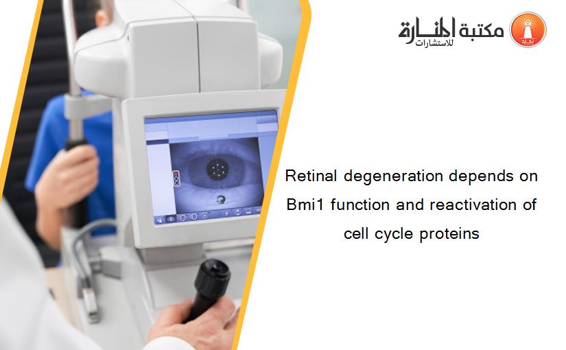 Retinal degeneration depends on Bmi1 function and reactivation of cell cycle proteins