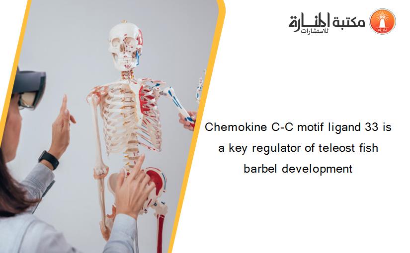Chemokine C-C motif ligand 33 is a key regulator of teleost fish barbel development