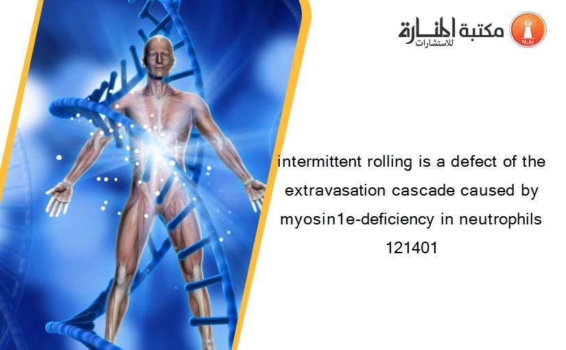 intermittent rolling is a defect of the extravasation cascade caused by myosin1e-deficiency in neutrophils 121401