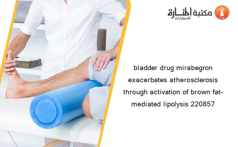 bladder drug mirabegron exacerbates atherosclerosis through activation of brown fat-mediated lipolysis 220857