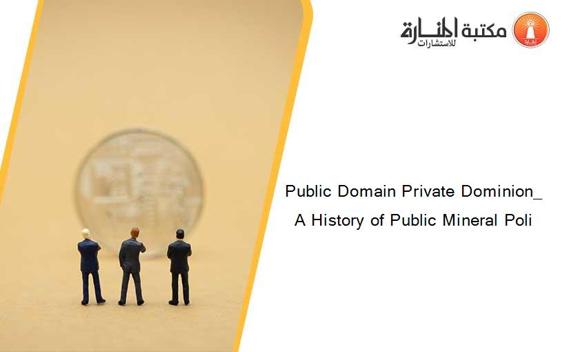Public Domain Private Dominion_ A History of Public Mineral Poli