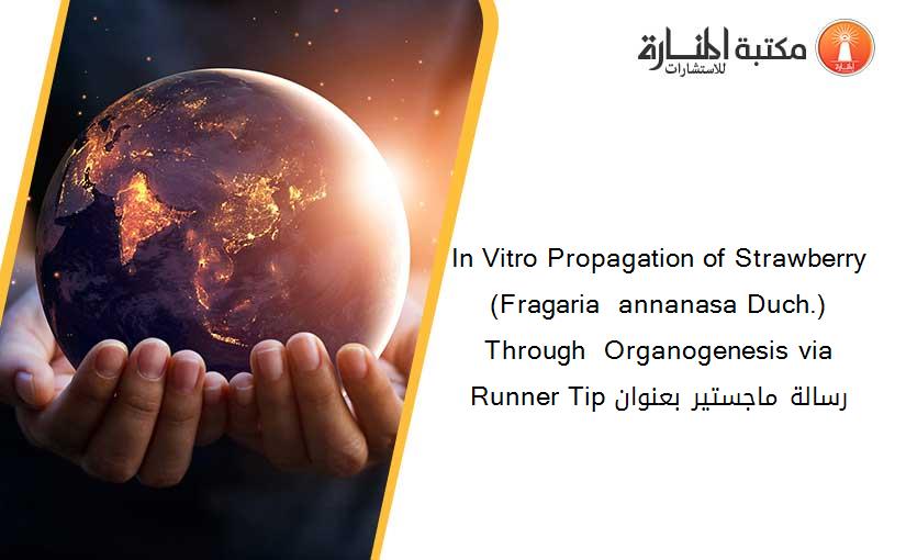 In Vitro Propagation of Strawberry  (Fragaria  annanasa Duch.) Through  Organogenesis via Runner Tip رسالة ماجستير بعنوان