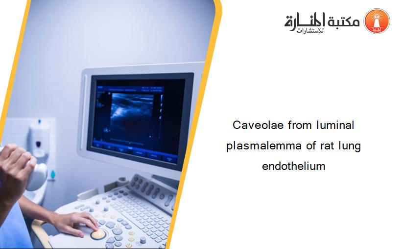 Caveolae from luminal plasmalemma of rat lung endothelium