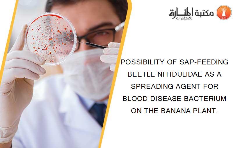 POSSIBILITY OF SAP-FEEDING BEETLE NITIDULIDAE AS A SPREADING AGENT FOR BLOOD DISEASE BACTERIUM ON THE BANANA PLANT.