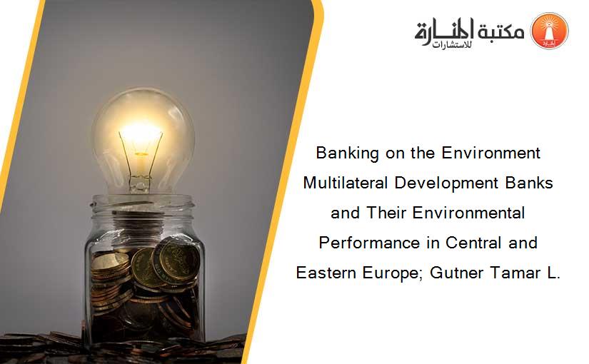 Banking on the Environment Multilateral Development Banks and Their Environmental Performance in Central and Eastern Europe; Gutner Tamar L.