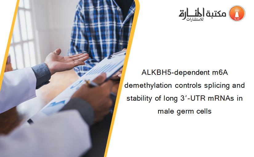 ALKBH5-dependent m6A demethylation controls splicing and stability of long 3′-UTR mRNAs in male germ cells