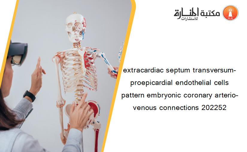 extracardiac septum transversum-proepicardial endothelial cells pattern embryonic coronary arterio–venous connections 202252